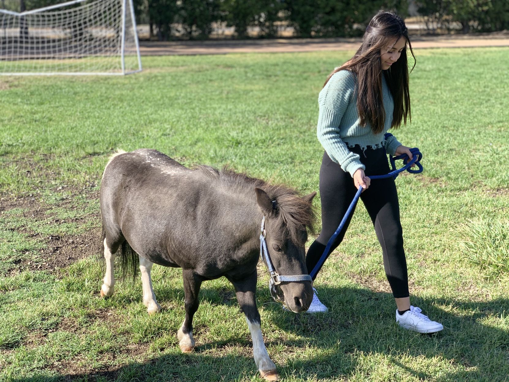 Napa Christian school farm